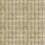 The Plaid One